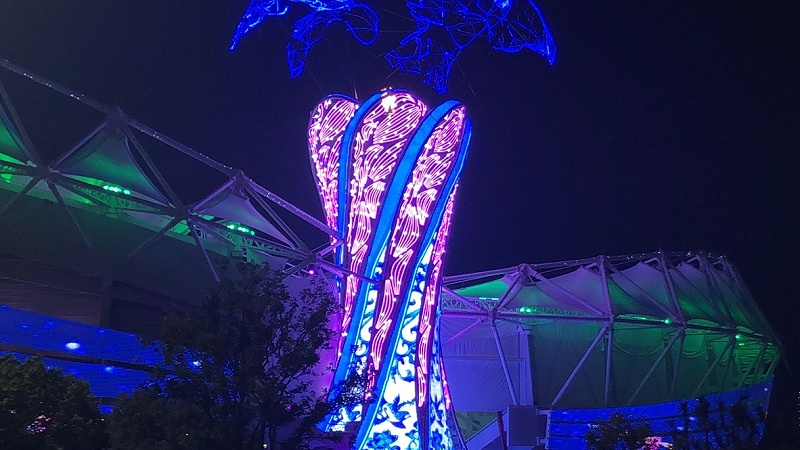 軍運(yùn)會夜景